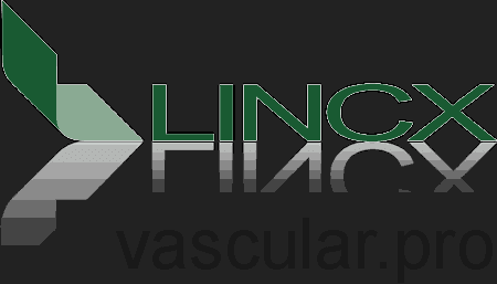 lincx vascular - Design gráfico