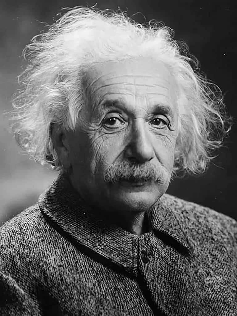 Albert Einstein vascular - Albert Einstein